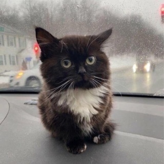 Артем Колбаскин