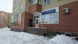 Фотография Стом-ДВ 4