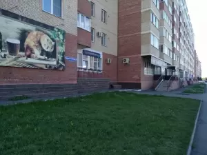 Фотография Стом-ДВ 3