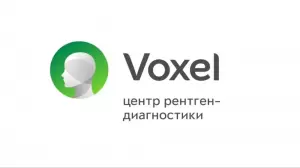 Фотография Voxel 2